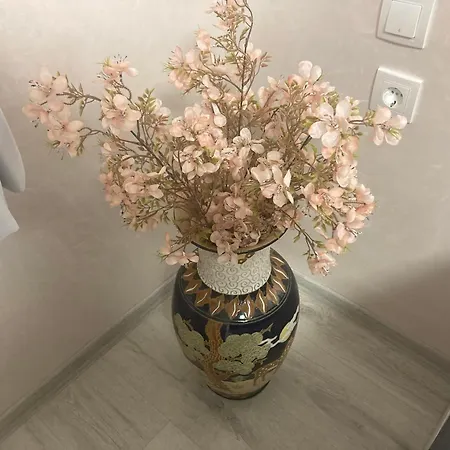 Апартамент в къщи *